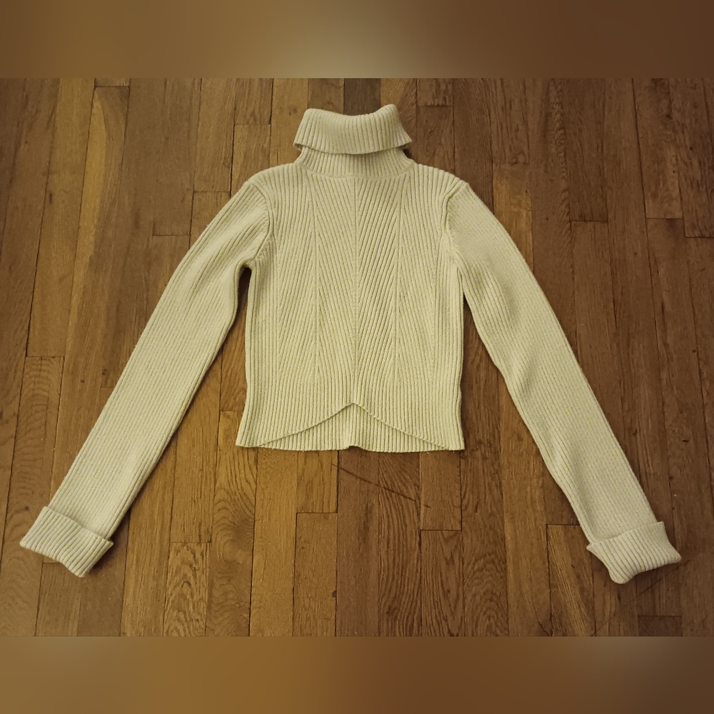 Sincerely Jules Cropped Turtleneck Sweater